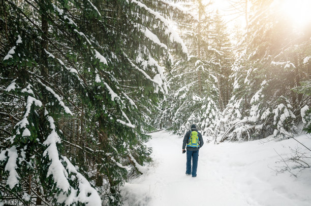 在波兰，斯洛伐克扎科帕内的高塔特拉山脉中徒步旅行的男子图片下载