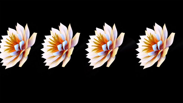 睡莲植物花3D渲染图片下载