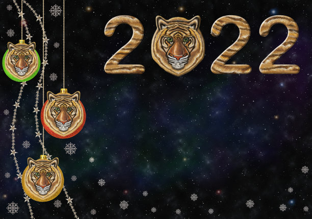 2022号虎头4号图片下载