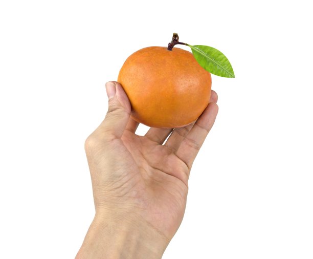 橙色水果手孤立的白色背景与修剪路径。图片下载