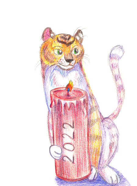 手绘的虎年插图。水彩铅笔。图片下载