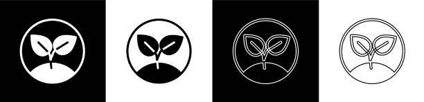 设置发芽图标孤立的黑色和白色图片下载