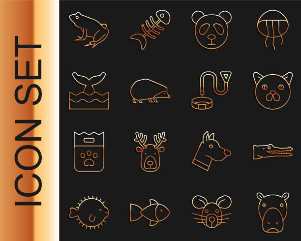 设线河马或河马鳄鱼猫图片下载