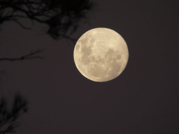 晚上的前图片下载
