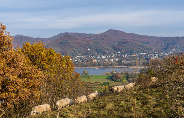 Siebengebirge自然公园图片下载