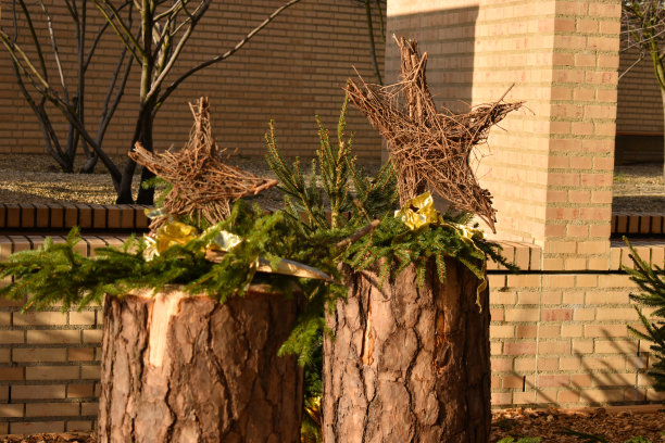 列支敦士登瓦杜兹市的圣诞节装饰图片下载