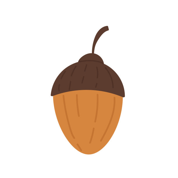 橡子。橡树果。矢量插图在卡通风格。孤立在白色背景。图片下载