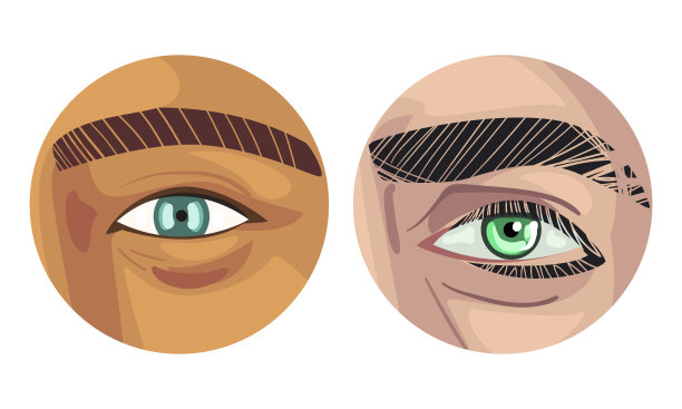 具有眉毛曲线和皮肤圆视图向量集的各种颜色人眼图片下载