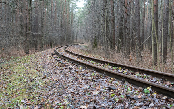 这张照片拍摄的是一条废弃的老铁路，上面撒满了橙色和黄色的泥泞的秋天枫叶，背景是树林里的树木。自然与训练理念图片下载