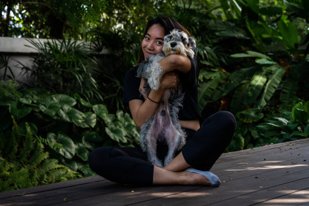 亚洲女人抱着迷你雪纳瑞犬图片下载