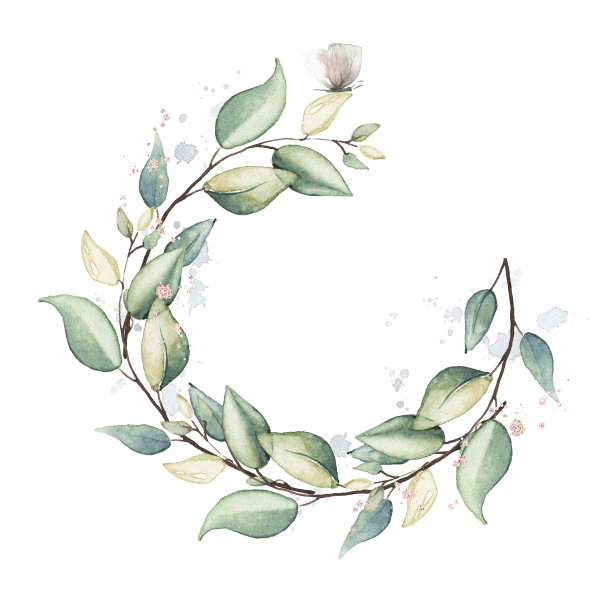 水彩画花圈在白色的背景。树枝和树叶。图片下载