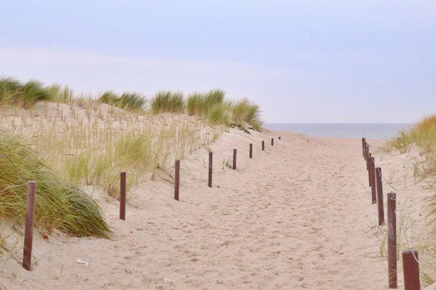 去海滩的路空荡荡的图片下载