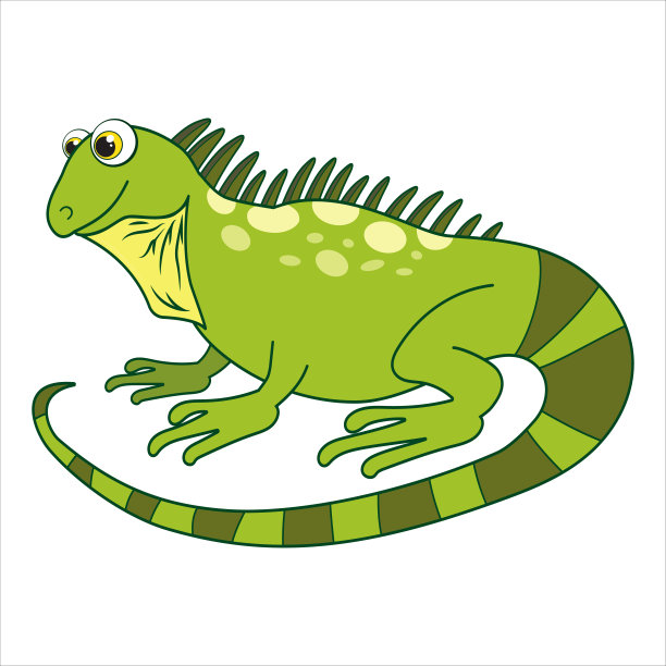 变色龙。卡通人物壁虎被隔离在白色背景上。可爱的野生动物模板。儿童学习动物的教育卡。适用于装饰设计。卡通风格的矢量。图片下载