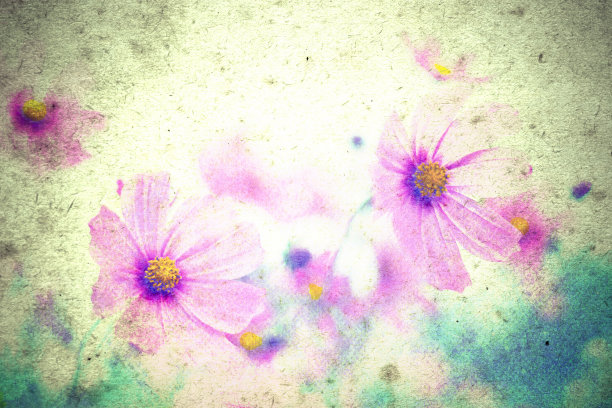 鲜花在一个古老的背景图片下载