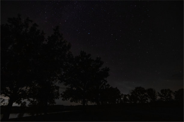 伊利诺斯州中叉森林保护区的夜空图片下载
