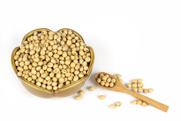 木勺上的大豆，白底上的瓷碗。图片下载