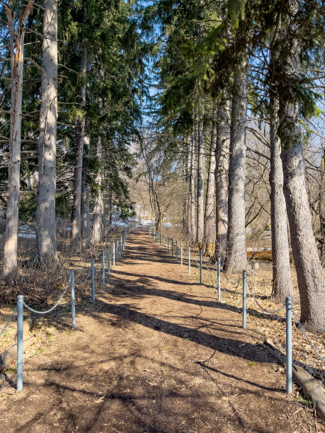 Riverwood Conservancy, Culham Trail in Enabling Garden，密西沙加，加拿大图片下载