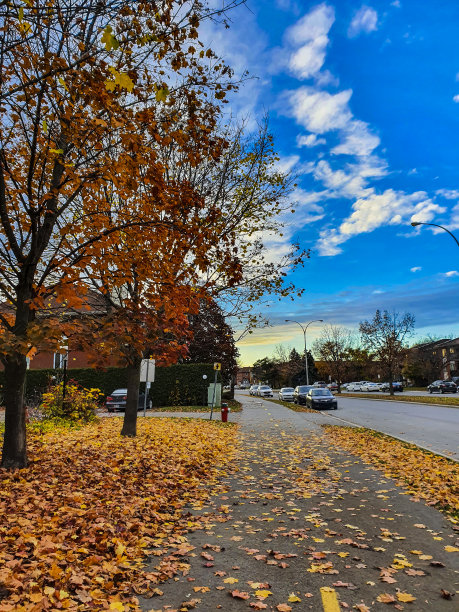 郊区的街道图片下载