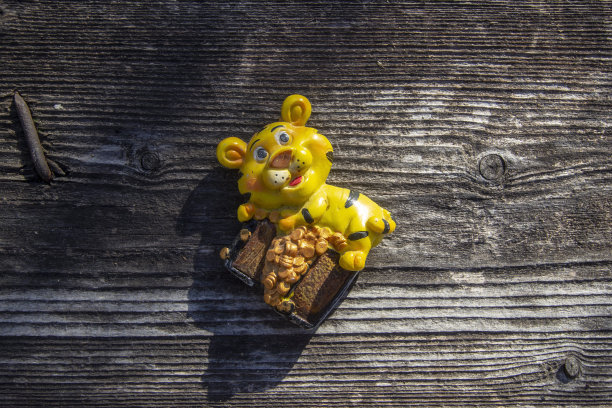 2022年的象征，有硬币的虎崽图片下载