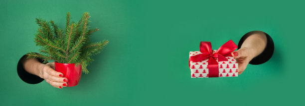 另一种圣诞树和礼物在妇女手中从绿色的纸圆洞。圣诞标语。图片下载