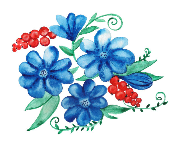 带有菊苣和红醋栗的装饰花束图片下载