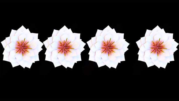 睡莲植物花3D渲染图片下载