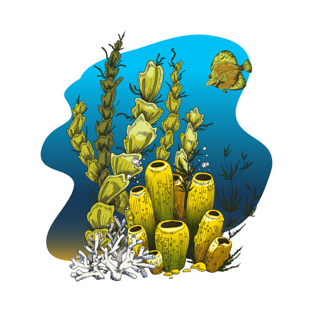 珊瑚礁和海藻与黄色的鱼深海底，彩色素描矢量插图孤立在白色的背景。图片下载