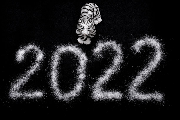 2022年新年快乐。2022年中国新年。玩具虎和2022年的日期写在像雪一样的盐，孤立在黑色的背景上图片下载