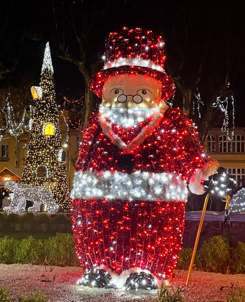 圣诞节的时候图片下载