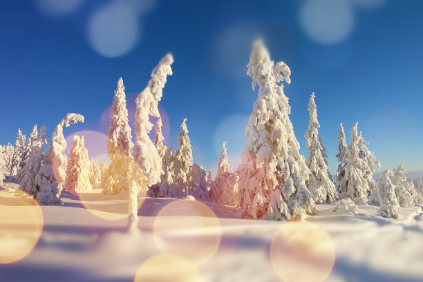 圣诞卡片与挪威的冬季景观图片下载