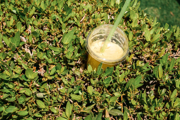 一杯绿色植物中的鲜榨果汁图片下载