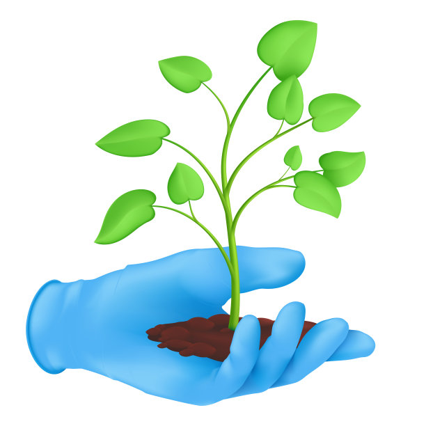 戴着橡胶手套，手拿着土壤和一株有叶子的绿色植物。生态环保理念。矢量插图的生长芽孤立的白色背景图片下载