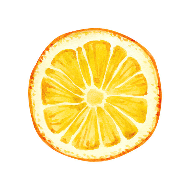 水彩插图的成熟柠檬孤立的白色背景。明亮的水果收藏的手绘插图。图片下载