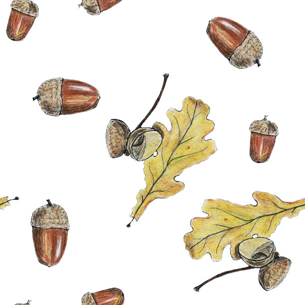 彩色铅笔橡子无缝图案在白色的背景。重复褐色橡子和黄色橡树叶的纹理。手绘插图完美的剪贴簿，包装纸，网页背景。图片下载