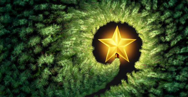 冬季节日树祝福图片下载