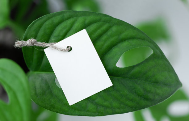 纸空标签贴在绿叶子上。生态友好，零废物概念。图片下载
