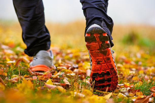 秋叶中的运动鞋图片下载