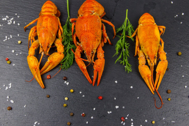 红煮小龙虾与莳萝和香料在黑色石板背景。俯视图图片下载
