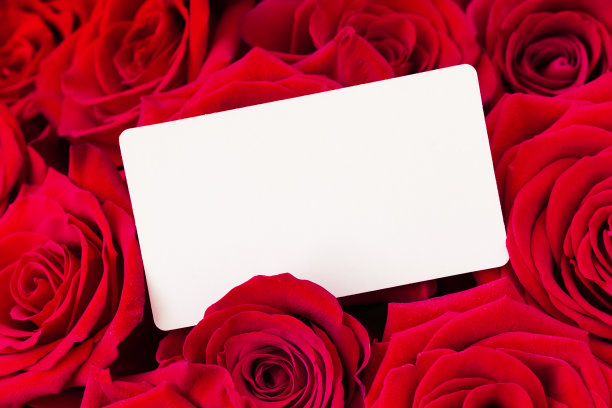 一束红玫瑰和空白的礼品卡，情人节背景。图片下载