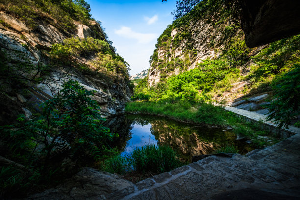 原始森林、自然风光、山谷、丛林、岩石、溪流、林荫小道图片下载