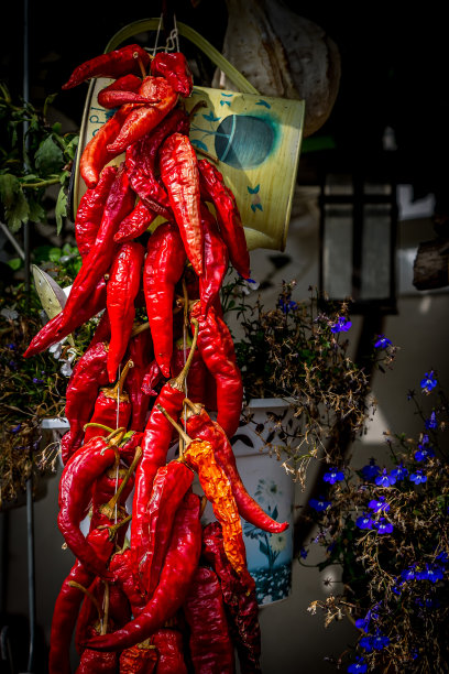 悬挂一串红辣椒图片下载