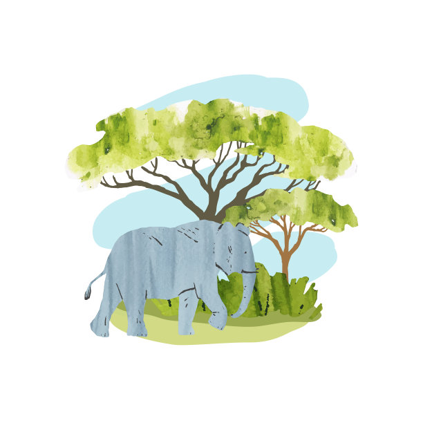 非洲。矢量相思和大象。明亮的手画矢量插画与树木，植物和动物打印，横幅，贴纸图片下载