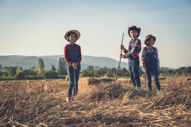 白天，孩子们在有机农场的稻田里整理稻草包，并帮忙清扫草堆图片下载