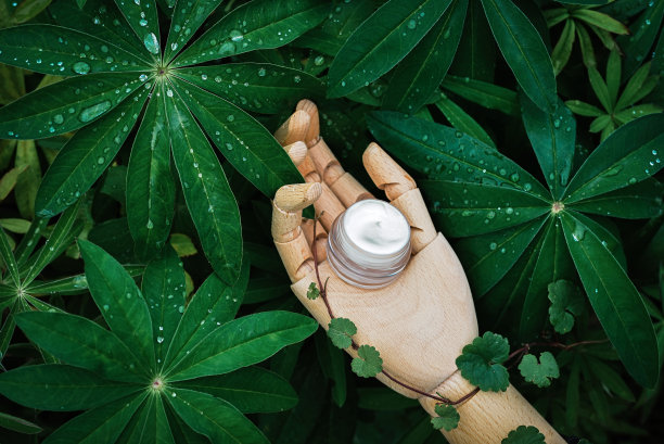 天然化妆品，霜上，讲台上的木质手，绿色植物图片下载