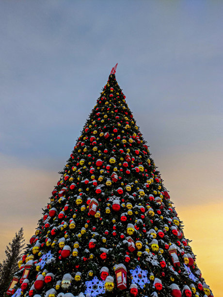 圣诞树图片下载
