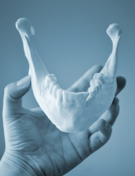 一个女孩手掌上拿着3d打印机打印的下颌骨图片下载