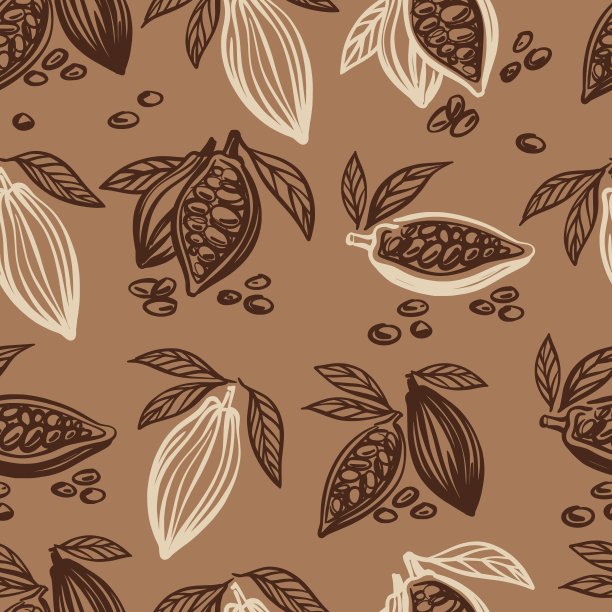 矢量图案的插图的可可豆手绘图片下载