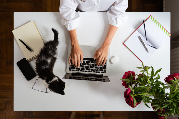 平放的家庭办公桌，工作空间用女人的双手，笔记本电脑，红色牡丹花束图片下载