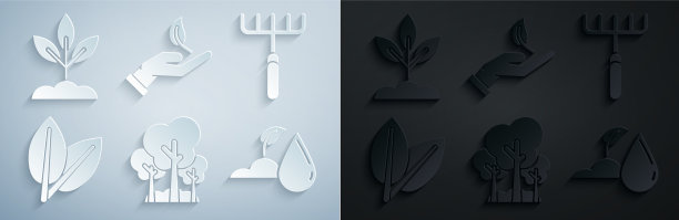 设树园耙叶浇水发芽图片下载