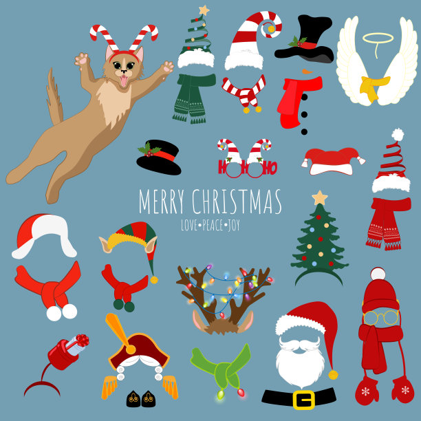猫在圣诞帽和服装设计图片下载
